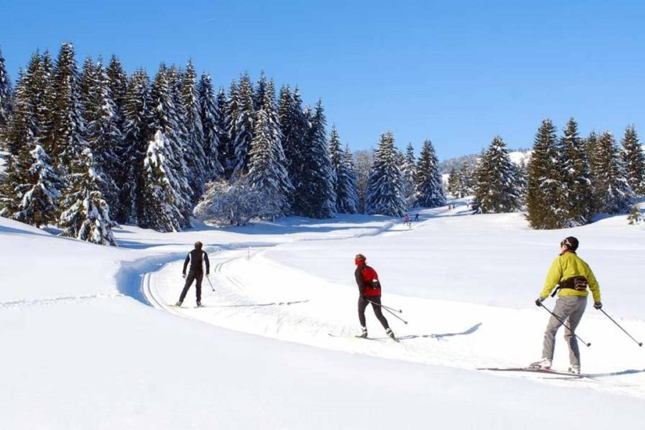 Le 67,Ski Et Randonnee,Lave Linge,Seche Linge,Parking Bernex Εξωτερικό φωτογραφία