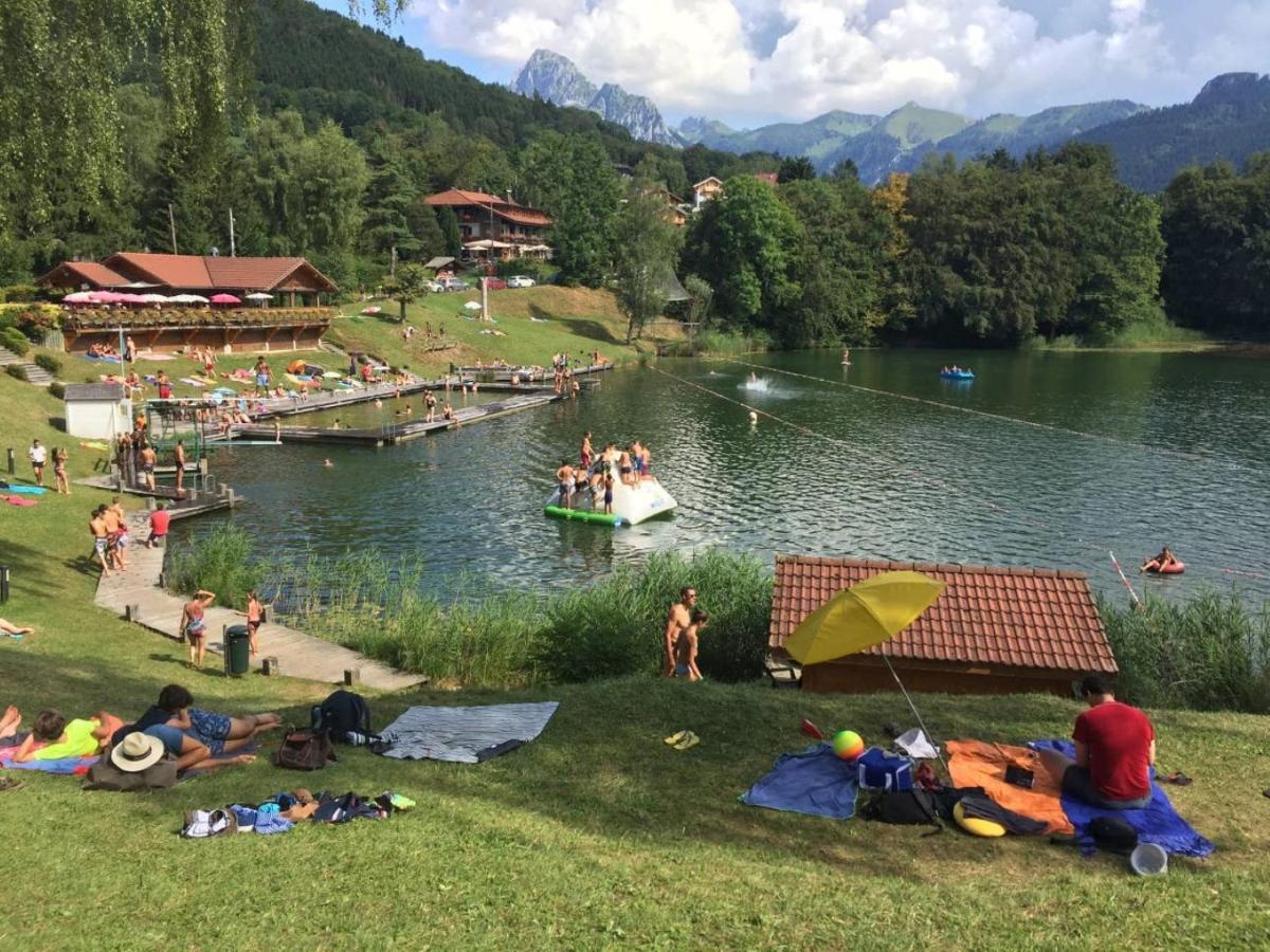 Le 67,Ski Et Randonnee,Lave Linge,Seche Linge,Parking Bernex Εξωτερικό φωτογραφία