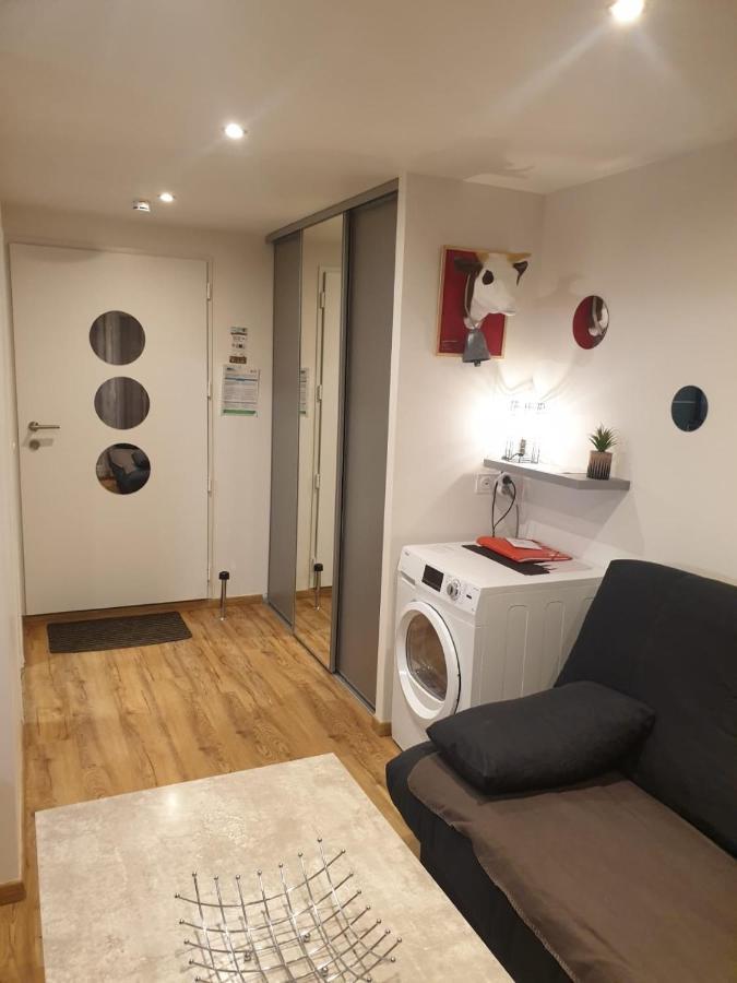 Le 67,Ski Et Randonnee,Lave Linge,Seche Linge,Parking Bernex Εξωτερικό φωτογραφία